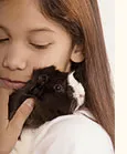 Kind mit Meerschweinchen im Tierhaus